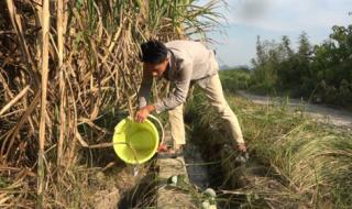 猫见了老鼠为什么拔腿就跑