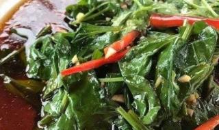 车前草不适宜人群 三种人不宜吃车前草