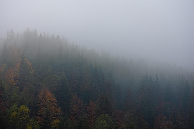 余额宝怎么转到支付宝余额 余额宝怎么转到支付宝