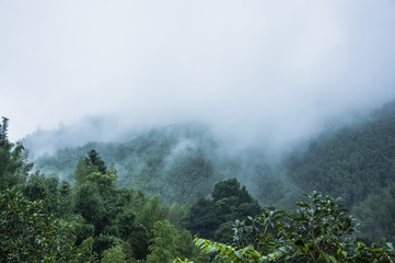 余额宝怎么转到支付宝余额 余额宝怎么转到支付宝